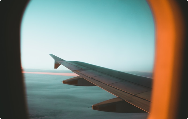 Lesha Aviation Services