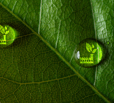 ESG & Sustainability